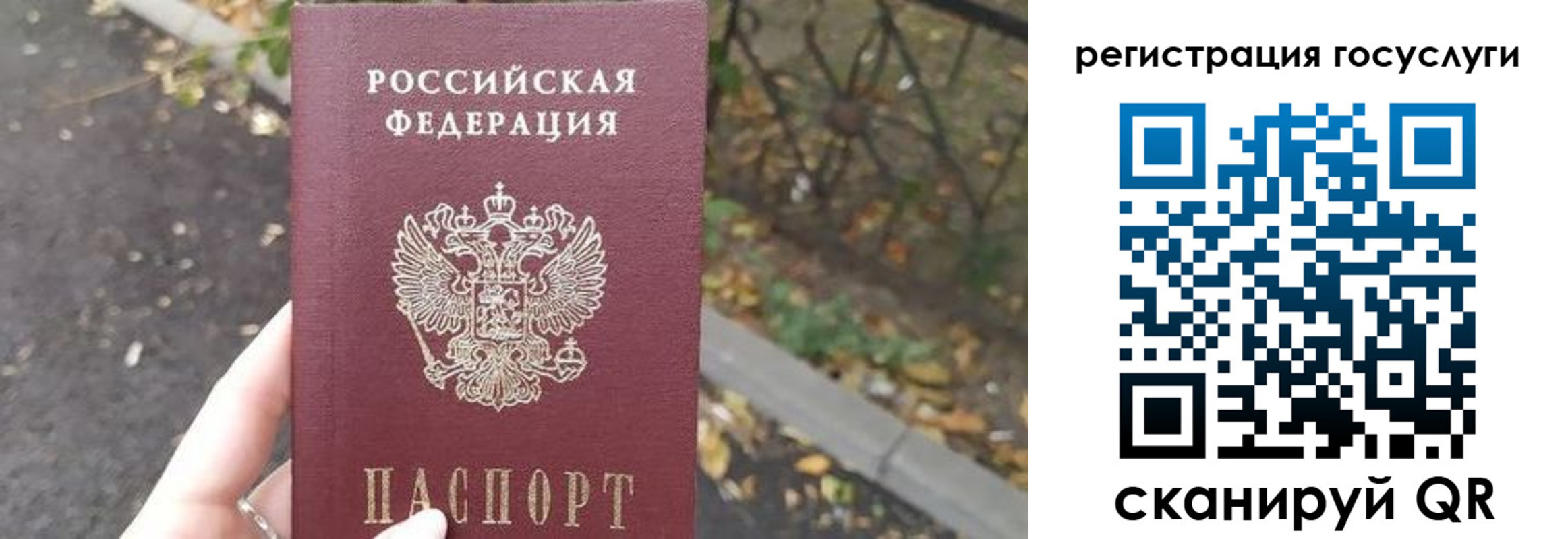 купить прописку в Гороховце
